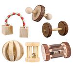 CCCYMM 6 Pcs Pet Natural Wooden Chew Toys Dumbells Exercise Bell Molar Toy for Parrot, Rabbit, Chinchilla, Guinea Pig, Hamster Small Animals