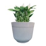 SOUVENIR 12 inch Plastic planters Big Size Outdoor Gardening Plant Container for Garden Terrace Balcony Patio Nursery Indoor Large Flower Pots for Home Office Décor (Pack of 1)