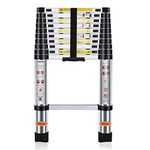 Light Extension Ladders