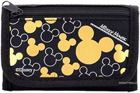 Disney Mic