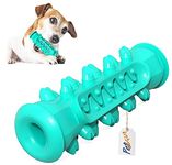 PetVogue Toothbrush Toy Color May Vary- Dog Chew Toy For Small Medium Dogs, Dog Teeth Cleaning Dental Care Natural Rubber Tough Durable,Puppy Teething Toys, Dog Toys For Small, Medium, Large Dog Toys