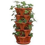 5-Tier Strawberry and Herb Garden P