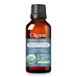 Cliganic USDA Organic Eucalyptus Essential Oil, 100% Pure | Natural Aromatherapy Oil for Diffuser Steam Distilled | Non-GMO Verified