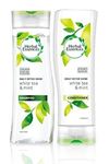 Herbal Essences Daily Detox Shine Shampoo and Conditioner with White Tea and Mint. Bundle with Exclusive Beauty Tips Sheet