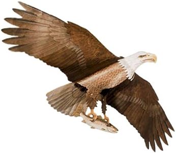 Jackite American Bald Eagle Kite
