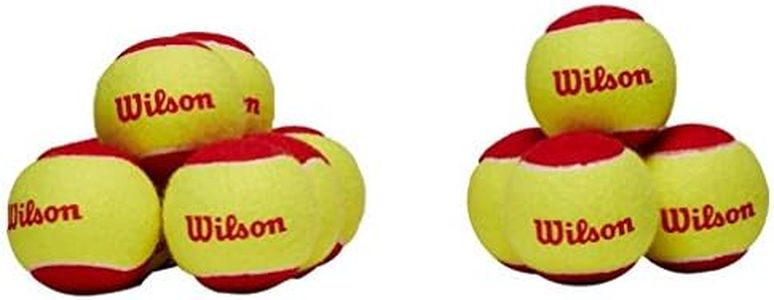 Wilson WRT137100 Starter Easy Ball-12 Pack