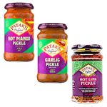 Spicy Indian Pickle Bundle - with Pataks Garlic, Hot Lime, and Hot Mango Pickle - 3 x 283g Jars - Versatile and Delicious