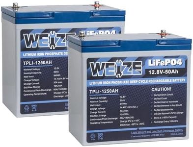 WEIZE 12V 