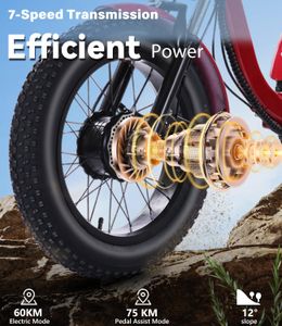 NOMIGO Electric Tricycle 48V – 20x4.0 Fat Tire Adult E-Trike