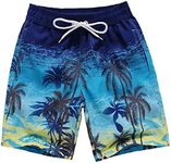 Men's Swim Shorts Summer Swimming Trunks Quick Dry Swim Shorts with Mesh Lining, Coconut Tree L