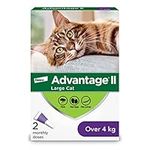 Advantage II Flea Protection for Large Cats weighing over 4 kg (over 9 lbs.)