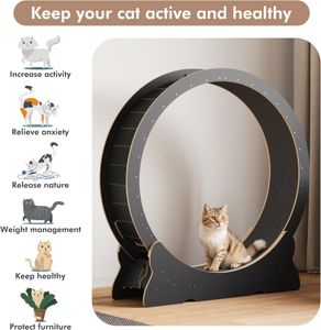 Mondeer XL Cat Exercise Wheel – Large Indoor Running Wheel for Cats