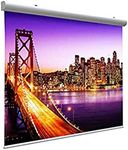 Motorized Projection Screen (123 In