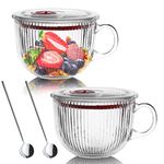 Foyofly Glass Cereal Bowl Clear Oatmeal Bowl with Handle Spoon,Soup Mug with Lid Milk Breakfast Bowls for Yogurt Tea Microwave Safe,450ml/15oz,Set of 2 (Vertical stripes01)