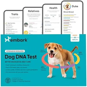Embark Bre