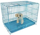 RvPaws 30 Inch Dog Cage Double Door Rust Proof Metal Folding Kennel for Medium Size Dogs and Adults (Medium)