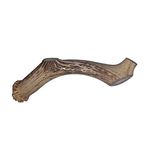 Premium Canadian Antler Dog chew Large/XL 7-10 inch Whitetail Deer Antler Chew for Dogs, for Heavy chewers Natural