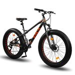 Fat Tire Electric Bike