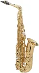 Selmer Paris SeleS AXOS Series Alto