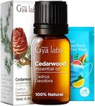 Gya Labs C