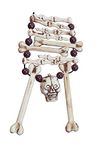 Bristol Novelty BA012 Skeleton Bone Necklace, Womens, One Size