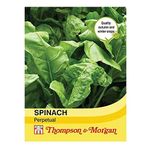 Thompson & Morgan - Vegetable - Spinach Perpetual - 250 Seeds