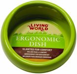 Living World Ceramic Ergonomic Pet Dish 120 ml Capacity, Green Small