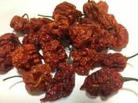 Trinidad Moruga Scorpion Dried Pods - One of The World's Hottest Chillies (10 x pods)