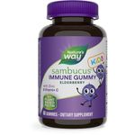 Nature's Way Sambucus Elderberry 60 Gummies for Kids | Immune System Support | Supplement with Vitamin C and Zinc | Gluten Free & Vegetarian