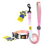 A+a Pets' Skin-Friendly Buckle Dog Collar & Leash Combo for Dogs Cats - Durable, Adjustable, Soft, Neoprene Padded Handle (Gradient Design Pink, M)