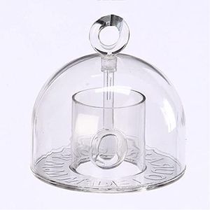 Birds Choice DETOURANT Ant Moat Detterant, Deterrant Ant Guard for Hummingbird & Oriole Feeders, 13", Clear