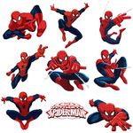 Spider-Man Man Decals