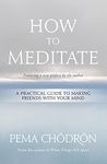 How to Meditate: A Practical Guide to Making Friends with Your Mind