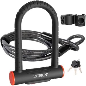 INTEKIN Bi