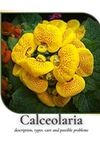 Calceolaria: description, types, ca