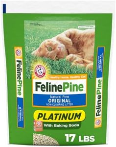 Feline Pin