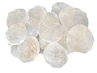 RiloStore Pack of 25 Capiz Shell Discs, Natural White 7-11 cm, Table/Wedding Name Cards, Maritime Decoration