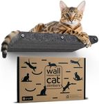 Cat Wall B