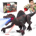 FRUSE Remote Control Dinosaur Toys 