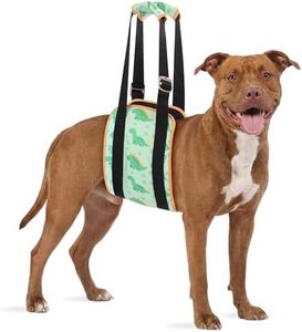 LovinPet Dog Lift Harness Rear Support Sling, Dinosaur Print Green