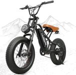 kulifoo Electric Bike for Adults 48
