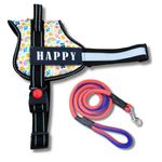 Pet King Personalized No-Pull Dog Harness with Leash – Custom Dog Name & Phone Number Adjustable Reflective Vest for All Breeds Size – Easy Control & Comfortable. (Rainbow, XS(2.5-5 KGs))