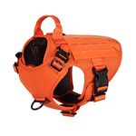 ICEFANG GN1 Tactical Dog Harness for Medium Sized Dogs,2X Metal Buckle,Working Dog MOLLE Vest with Handle,No Pulling Front Leash Clip (M (Pack of 1), Orange)