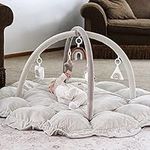 5-in-1 Thick & Plush Baby Play Gym,
