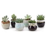 T4U 2.5 Inch Ceramic Flowing Glaze Black&White Succulent Plant Pot Cactus Plant Pot Flower Pot Container for Christmas and Birthday Gifts and Home Decoration, Pack of 6