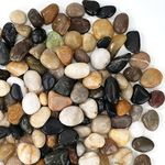 Stoepeoco 2.1 LB Natural Polished Pebbles,Multi Smooth River Rocks Decorative Ornamental stones Garden Landscaping Pebbles Gravel Filler for Flower Bed Fish Tank Plants Vases Succulents