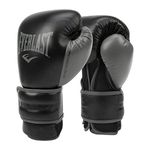 Everlast Powerlock 2R Training Glove - Black - 16 oz