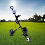 Lightweight Folding Golf Push Pull 