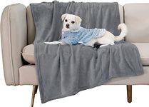 CARESFUL Pet Blanket for Large Small Dogs and Cats - Solid Plush Flannel Silky Soft Fleece - 65" X 75", Grey Size - XXL