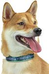 Zubaz NFL Team Adjustable Pet Colla